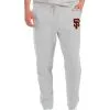 Men's San Francisco Giants Antigua Gray Action Jogger Pants -San Francisco Giants mens antigua gray san francisco giants action jogger pants pi4625000 altimages ff 4625039 1904128a9e183fc4bcf2alt1 full